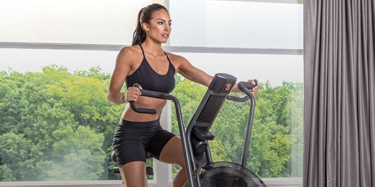 SCHWINN VELO AIRDYNE FEMME SHORT