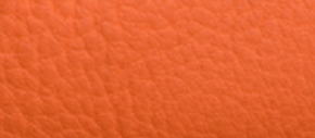 Campfire Orange