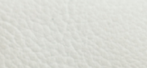 Pristine White