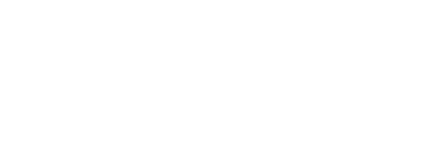 logo basi systems blanc Logo Basi Systems