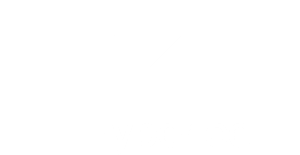 HYPERICE LOGO BLANC
